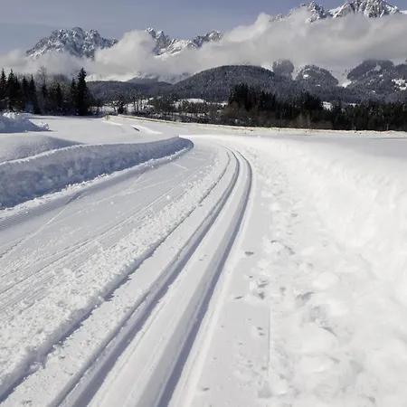 호텔 Aschauer Hof Z'fritzn 3*