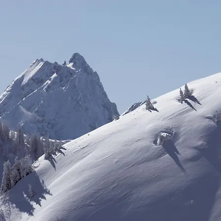 Aschauer Hof Z'fritzn 호텔 티롤 키르흐베르크