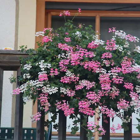 Hotel Aschauer Hof Z'Fritzn