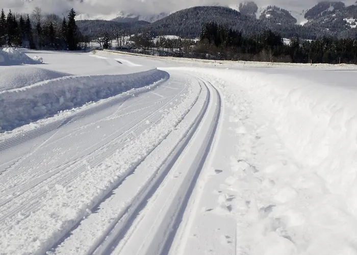 Hotel Aschauer Hof Z'fritzn 3*