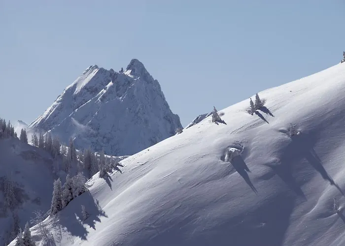 Aschauer Hof Z'fritzn Hotel Kirchberg in Tirol