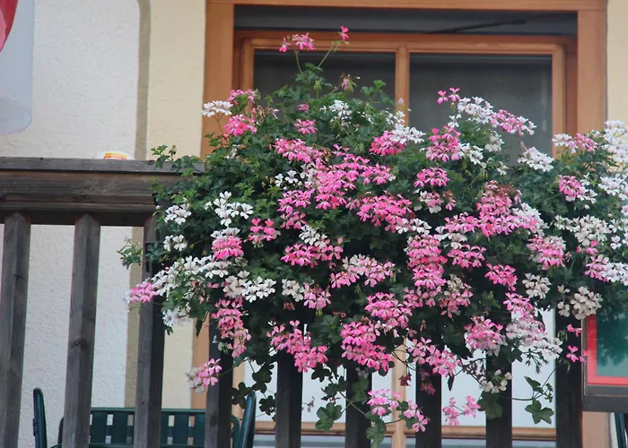 Aschauer Hof Z'fritzn